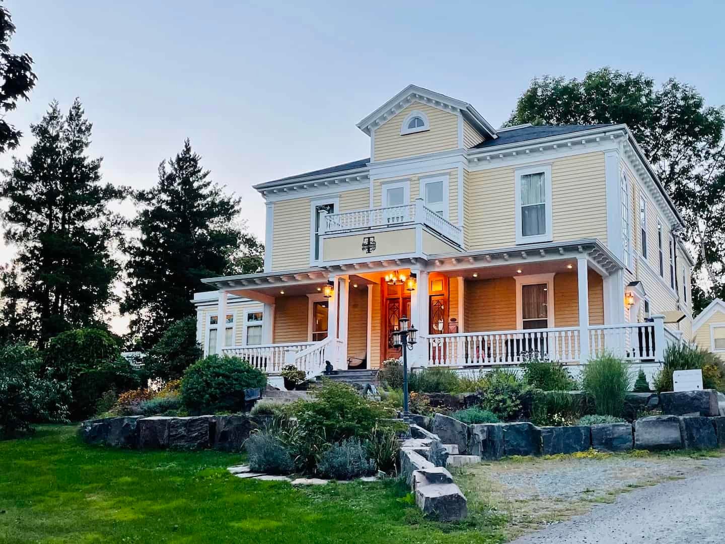 whale jumping above water