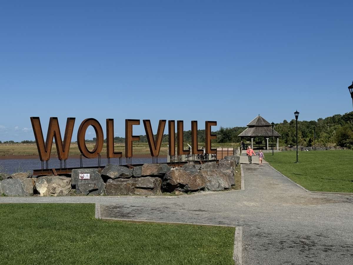 a white plate topped with a salad covered in shrimp